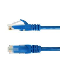 Câble réseau Cat6 8 pouces bleu