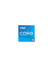 Intel Core i5 (12th Gen) i5-13400 Hexa-core (6 Core) 4.60 GHz Processor